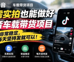 无需实拍也能做好抖音车载带货项目，收益非常稳定，每天坚持发就可以！