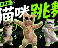 猫meme素材绿幕视频剪辑素材小猫咪跳舞