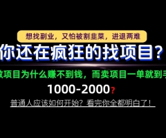 你还在疯狂的找项目？别傻了！卖项目才是真正的一本万利！怎么做，看完你全都明白！【揭秘】