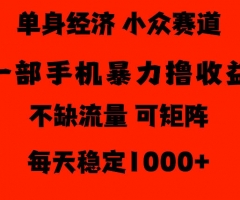 26年暴力单身经济，稳定日入500-1k，不缺流量，流量极大，冷门小众赛道，门槛低小白轻松上手【揭秘】