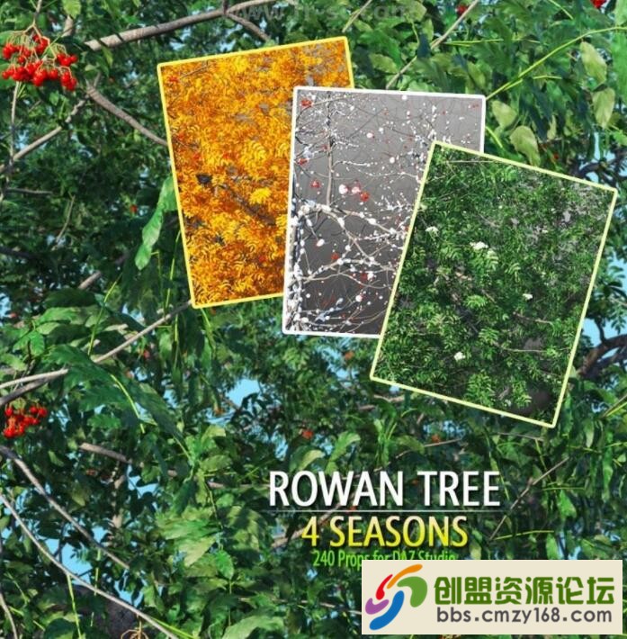 QQ截图20181103210857.jpg