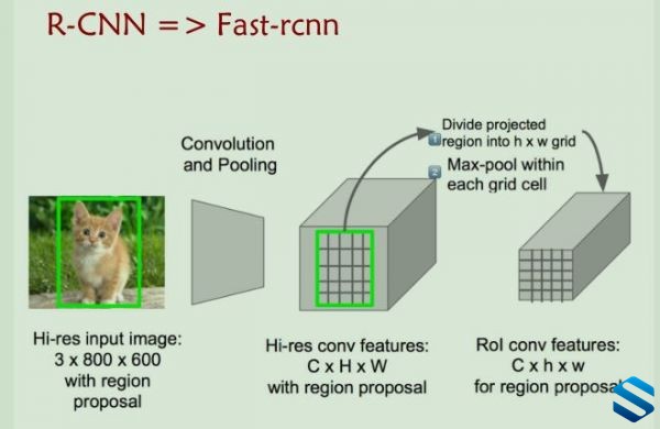 67391602290801.jpg