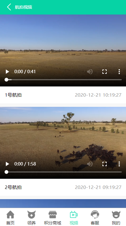 19911608695647.png