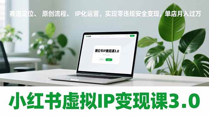 小红书虚拟IP变现课3.0，赛道定位、原创流程、IP化运营，实现零违规安全变现，单店月入过万-1.jpg