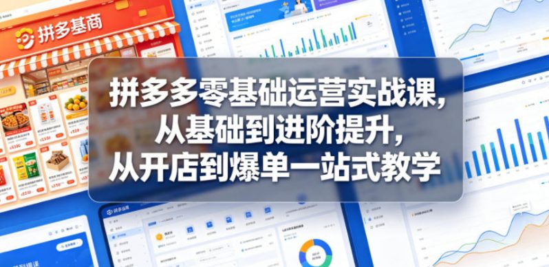 拼多多零基础运营实战课，从基础到进阶提升，从开店到爆单一站式教学-1.jpg