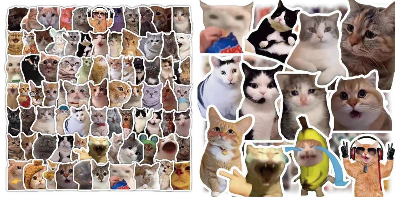 猫meme素材绿幕视频剪辑素材小猫咪跳舞-3.jpg