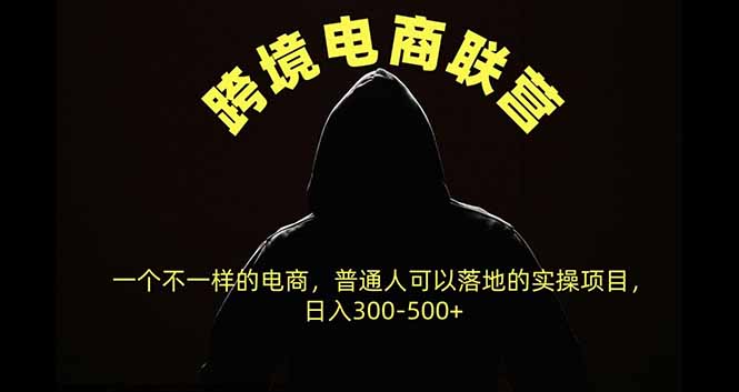 跨境电商联营，一个不一样的电商，普通人可操作日入300-500+-1.jpeg
