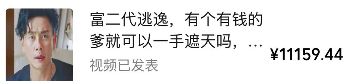 视频号某大佬的影视搬运教学，纯手法操作，可以多个平台可以发布，撸分成计划+伙伴计划+光合计划收益等-2.jpeg