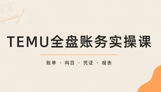 TEMU全盘账务实操课：账单导出、科目设置、利润核算-1.png