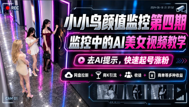 小小鸟颜值监控第四期，监控中的AI美女视频教学，去AI提示，快速起号涨粉，网盘拉新+商K引流+收徒+商单等多种收益-1.jpeg