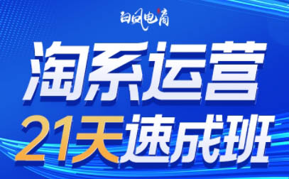 白凤电商·淘系运营21天速成班(更新10月)-1.jpeg