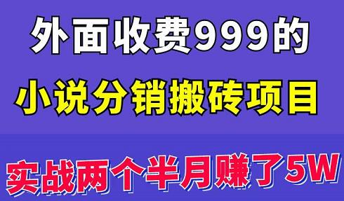 շ999С˵שĿʵս׬5W飬