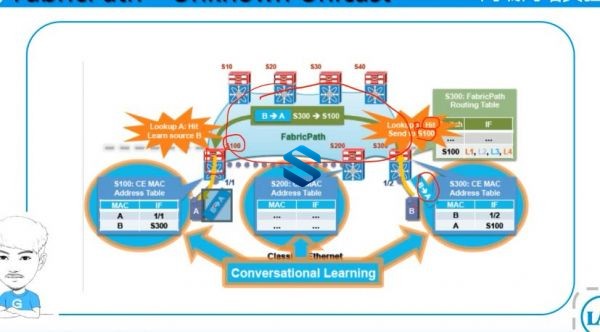 ȫCCIE Cisco Nexusܹƿγ DataCenter CCIE DC