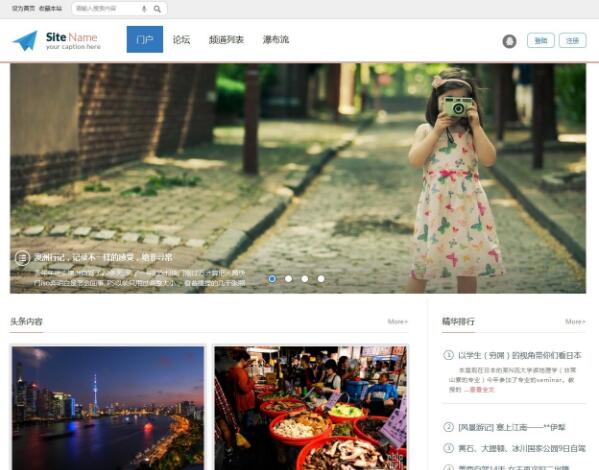 DZ模板 Simple时尚设计 商业版（GBK） Simple时尚设计模板
