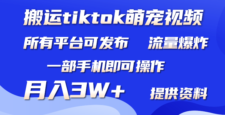 ֻTiktokȳƵ1ֻɡʺжƵƽ̨3W+